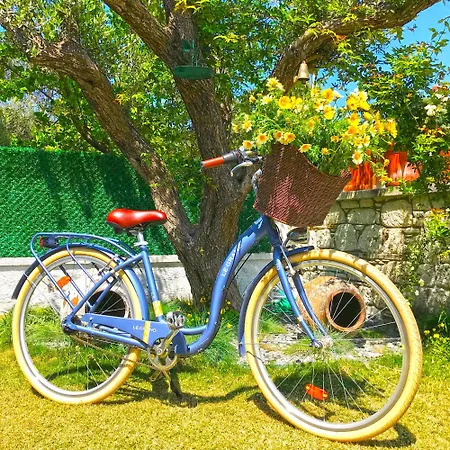 Morisi Butik فندق ألاتشاتي